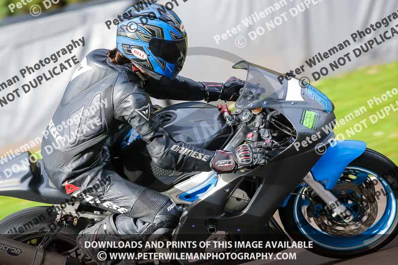 anglesey;brands hatch;cadwell park;croft;donington park;enduro digital images;event digital images;eventdigitalimages;mallory;no limits;oulton park;peter wileman photography;racing digital images;silverstone;snetterton;trackday digital images;trackday photos;vmcc banbury run;welsh 2 day enduro